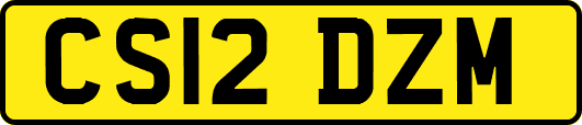 CS12DZM