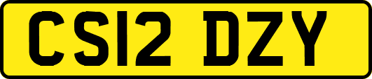 CS12DZY