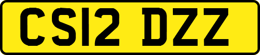CS12DZZ