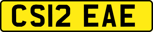 CS12EAE