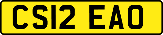 CS12EAO