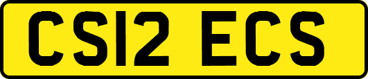CS12ECS