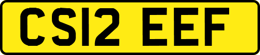 CS12EEF