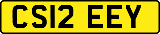 CS12EEY