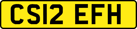 CS12EFH