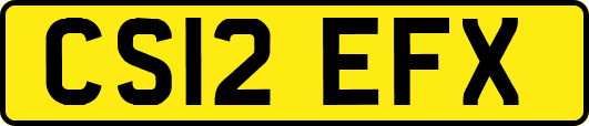 CS12EFX