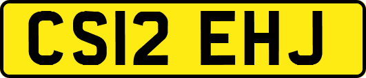 CS12EHJ