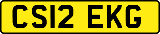 CS12EKG