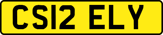 CS12ELY