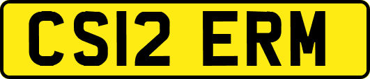 CS12ERM