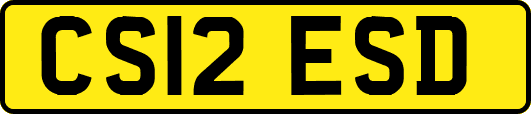 CS12ESD