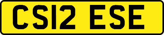 CS12ESE