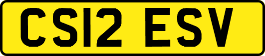 CS12ESV