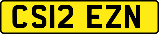 CS12EZN