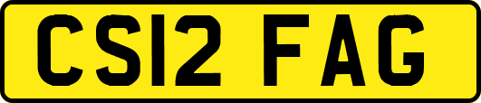 CS12FAG