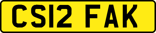 CS12FAK