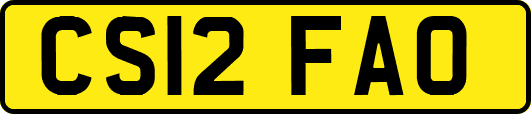 CS12FAO