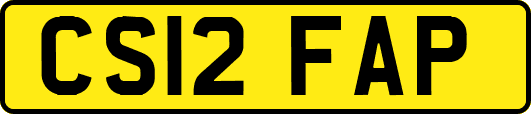 CS12FAP