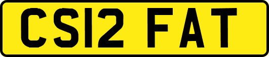 CS12FAT