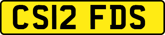 CS12FDS