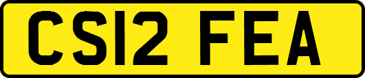 CS12FEA