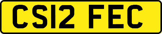 CS12FEC
