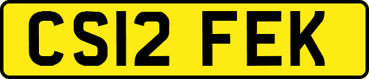 CS12FEK