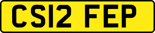 CS12FEP