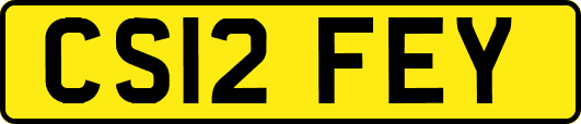 CS12FEY