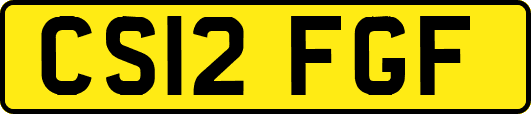 CS12FGF