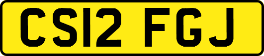 CS12FGJ