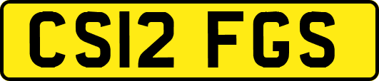 CS12FGS