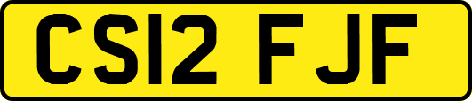 CS12FJF