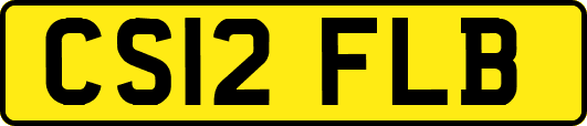 CS12FLB