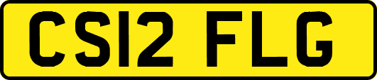 CS12FLG