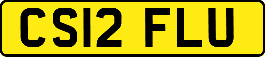 CS12FLU