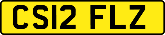 CS12FLZ