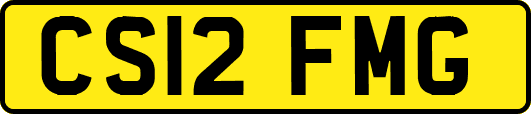 CS12FMG