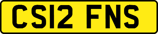 CS12FNS