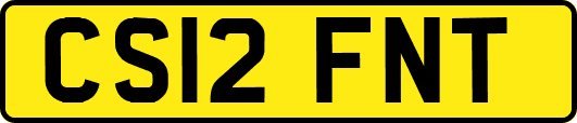 CS12FNT