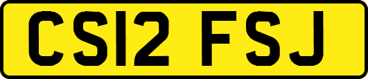 CS12FSJ