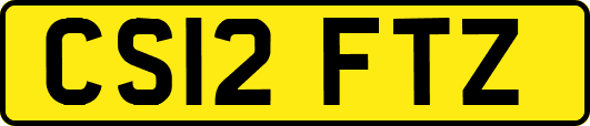 CS12FTZ