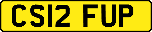 CS12FUP
