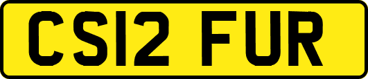 CS12FUR