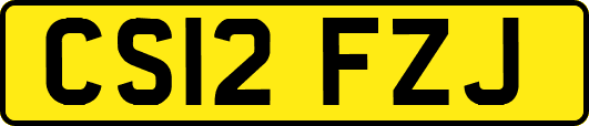 CS12FZJ