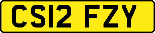 CS12FZY