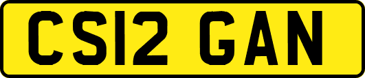 CS12GAN