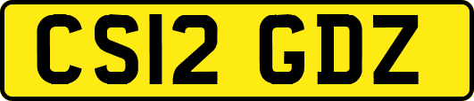 CS12GDZ