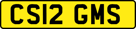 CS12GMS