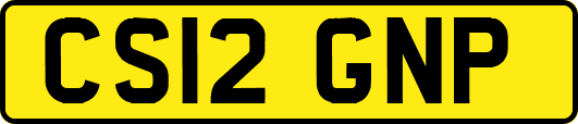 CS12GNP